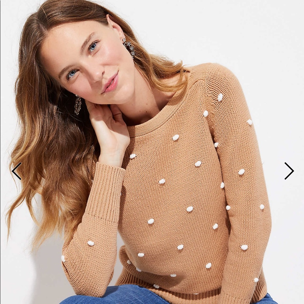 LOFT Bobble Stitch Sweater
